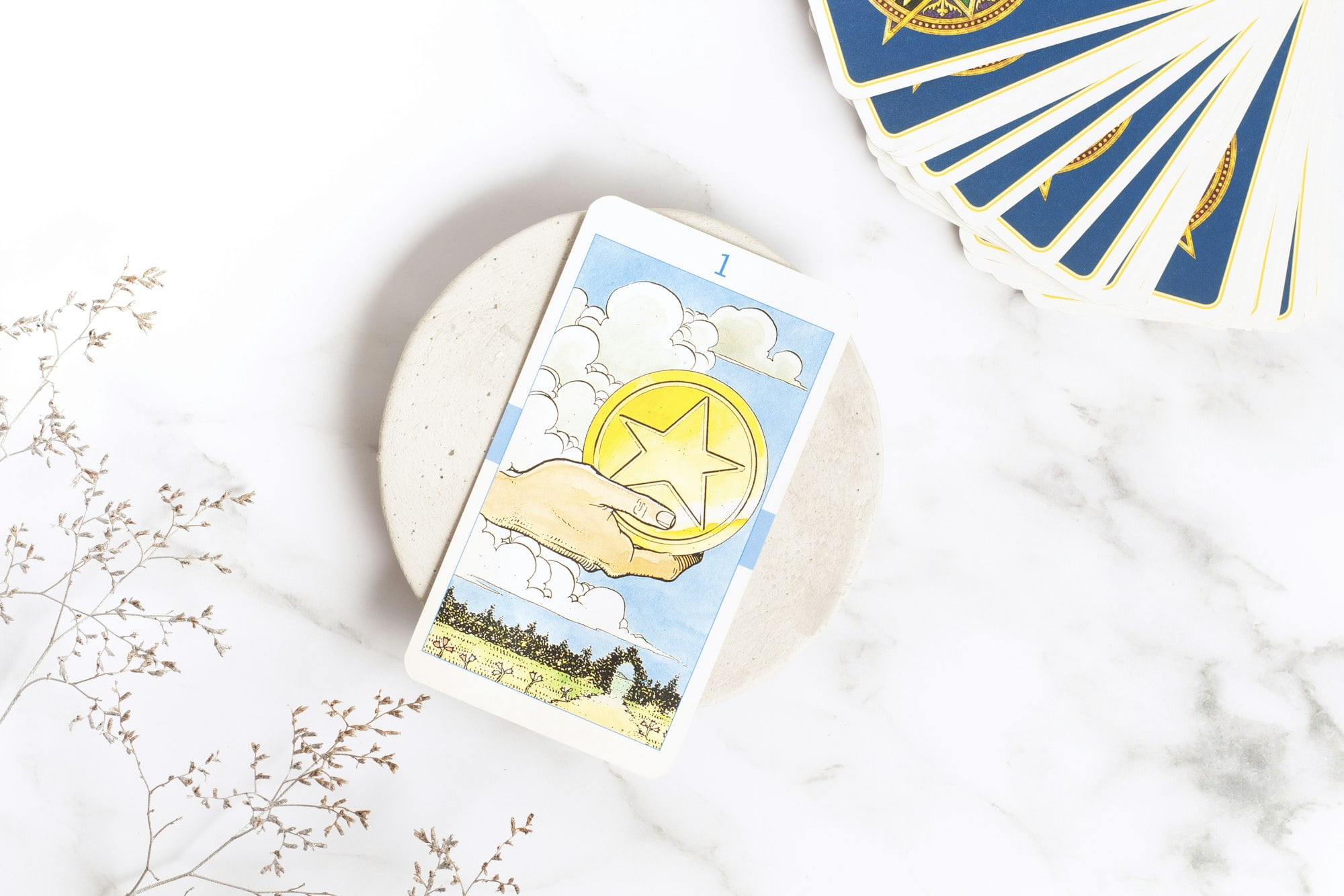 tarot card 1