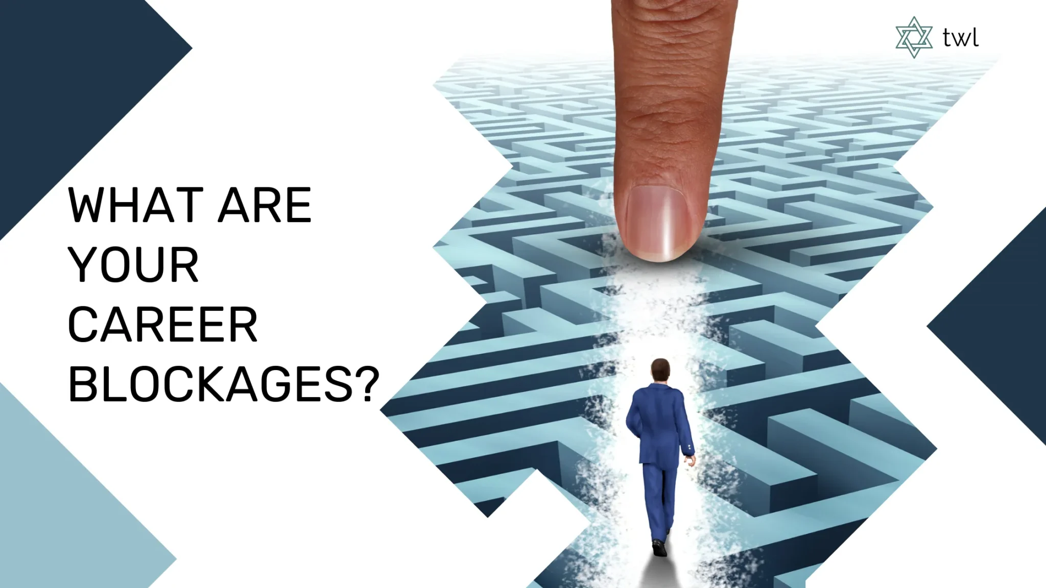 what are your career blockages